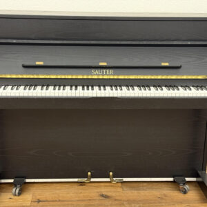 Sauter Carus 114 esche schwarz satiniert